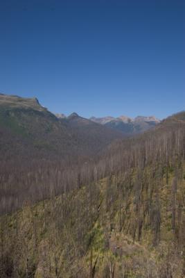 GlacierPark009.jpg