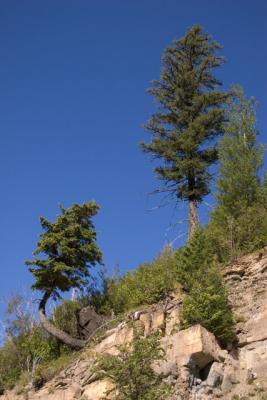 GlacierPark017.jpg