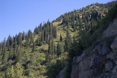 GlacierPark021.jpg