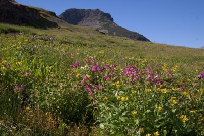 GlacierPark087.jpg
