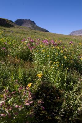 GlacierPark088.jpg