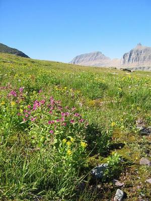 GlacierPark092.jpg