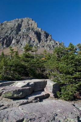 GlacierPark102.jpg