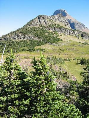 GlacierPark104.jpg