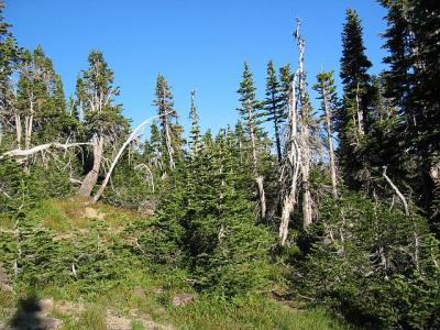 GlacierPark113.jpg