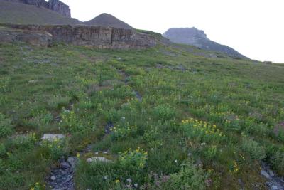 GlacierPark118.jpg