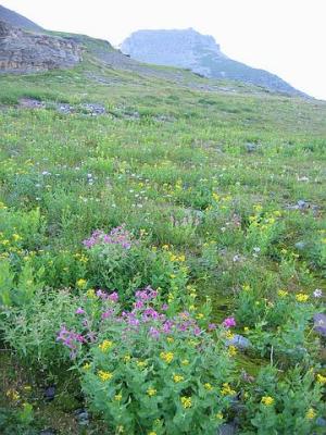 GlacierPark130.jpg