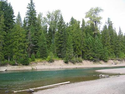 GlacierPark166.jpg