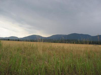 GlacierPark174.jpg