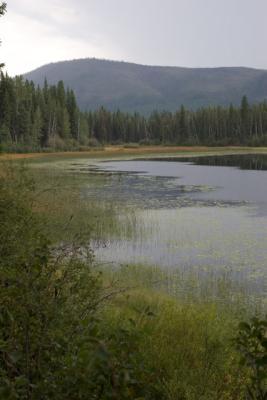 GlacierPark175.jpg