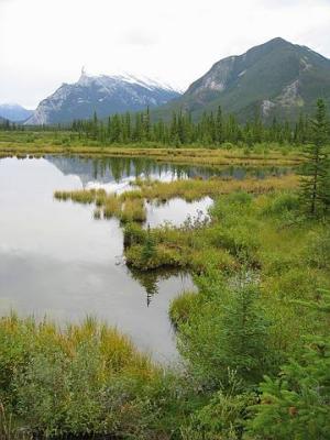 BanffPark003.jpg