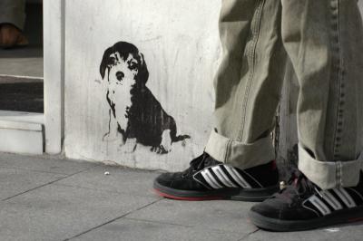 v3/23/561023/3/44142433.dogsfeet3086.jpg