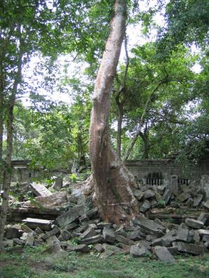 Beng Mealea