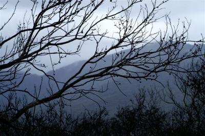 Mount Oberon