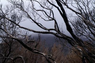 Mount Oberon