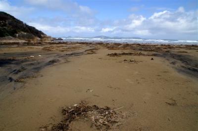 Squeaky Beach
