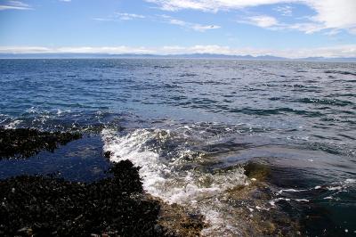 v3/23/579023/3/47137598.Mussels.jpg