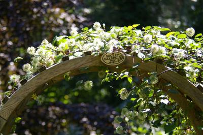 Secret Garden