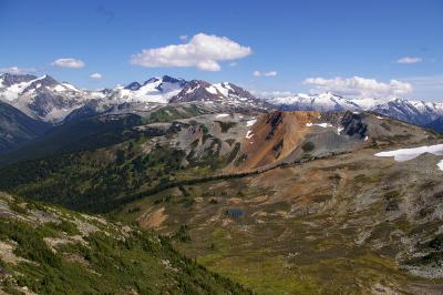 Alpine meadows