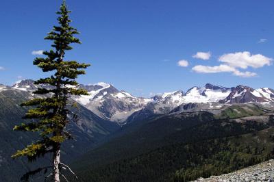 On Whistler