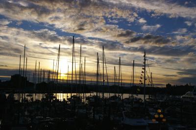 Harbour sunset