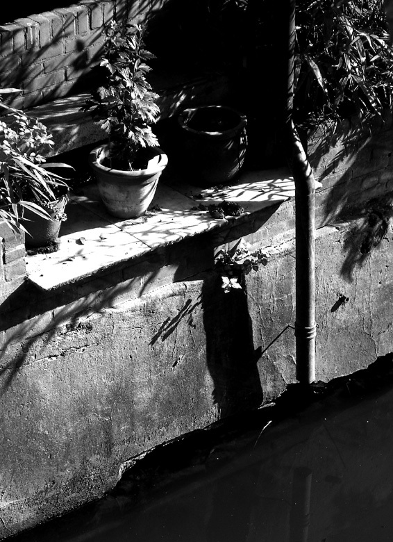Sunset in b&w
