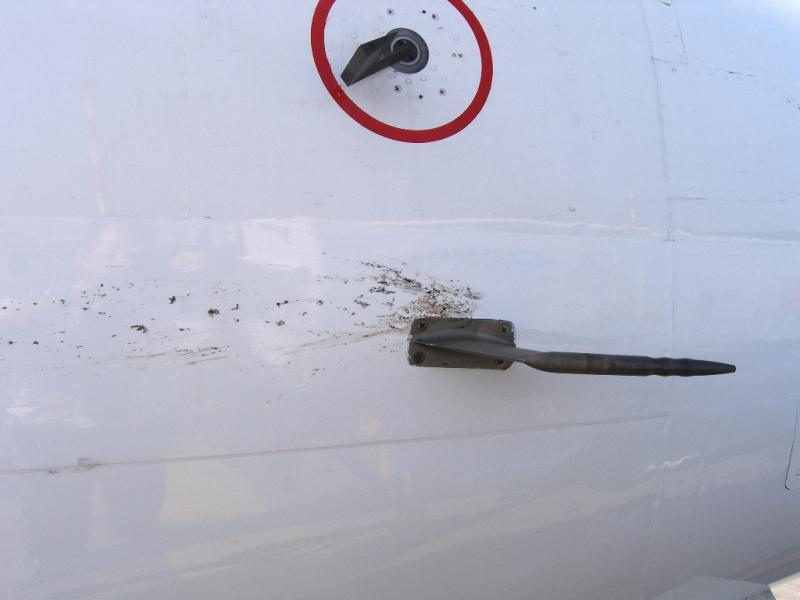 Birdstrike