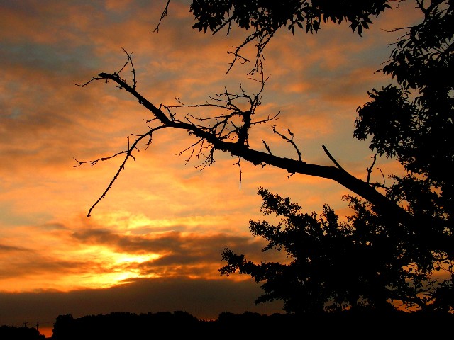 6-2005 Sunrise.JPG