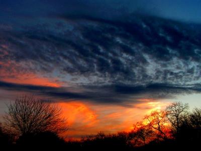 1-22-05 Red and Gold Sunset4.JPG