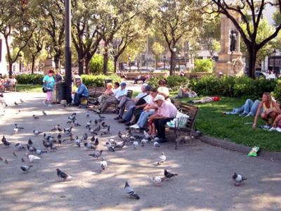 Plaa de Catalunya: Locals feeding the many pigeons that constantly were on the plaza