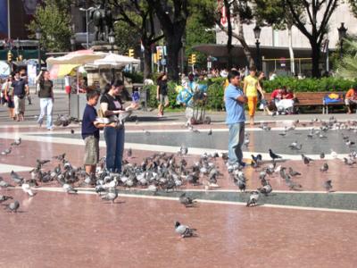 Plaa de Catalunya: Separates l'Eixample, more modern, (north) & Ciutat Vella - Old City (south). Boy with 2 pigeons in hand.