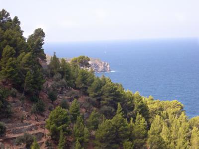 Farming terraces on the north coast of Mallorca - between Port de Sóller and Deią