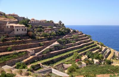 Farming terraces in Banyalbufar on the north coast of Mallorca. The Mediterranean Sea is in the background.