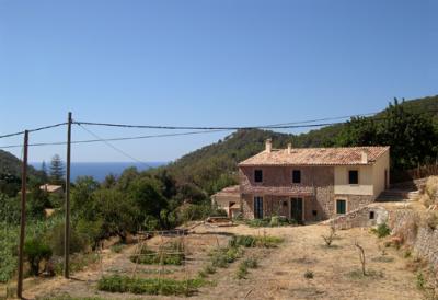 A private garden in Estellencs on the north coast of Mallorca. The Mediterranean Sea is in the background.