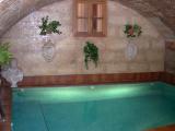 Small, indoor swimming pool at our hotel, the Palacio Ca Sa Galesa. Has jacuzzi-like jets to swim in place. Judy tried it.