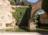 Jardines de sHort del Rei - gardens of Arabic influence near the cathedral (La Seu) in Palma.