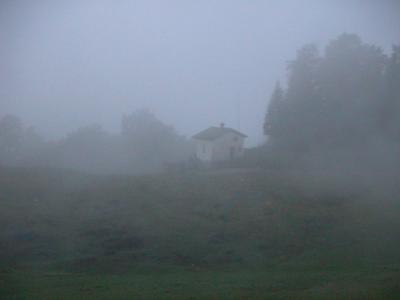 nebbia (Schene Walde)