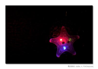 #234 Mr Starfish