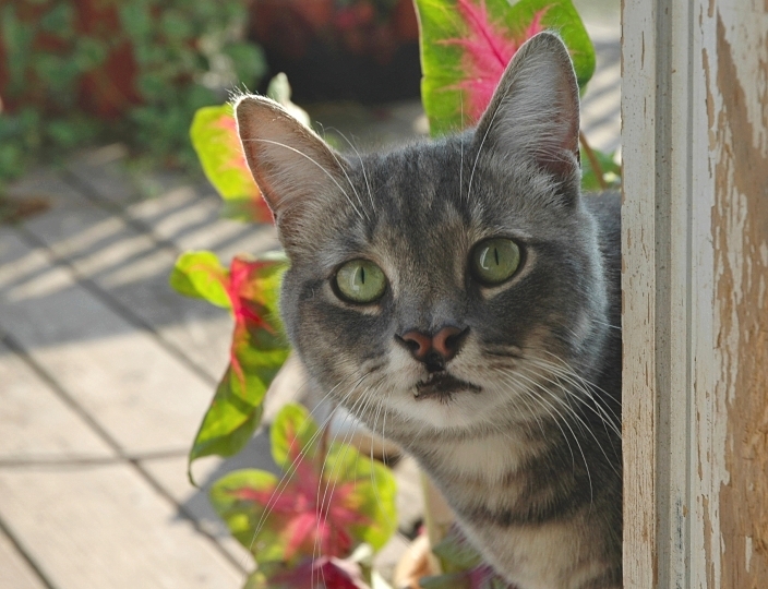hi! just peeking in