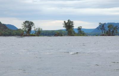 v3/24/25224/3/50924315.landscapesusqueriverchoppy_0193r2.jpg