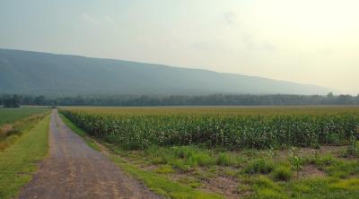 cornfield lane mt view