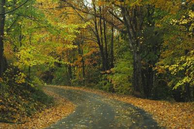 watercolor road