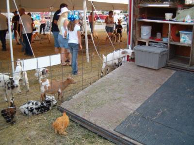 Petting zoo at Kane County Fair.JPG