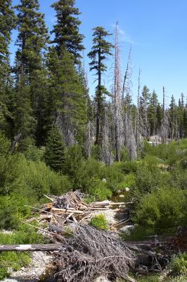 IMG_1750.jpg