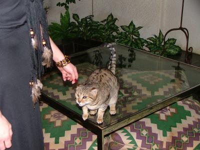 DSCF1227.jpg
