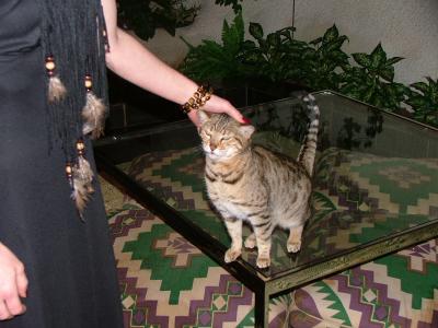 DSCF1228.jpg