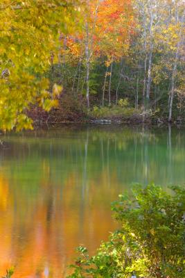 Pond in Waterloo Too