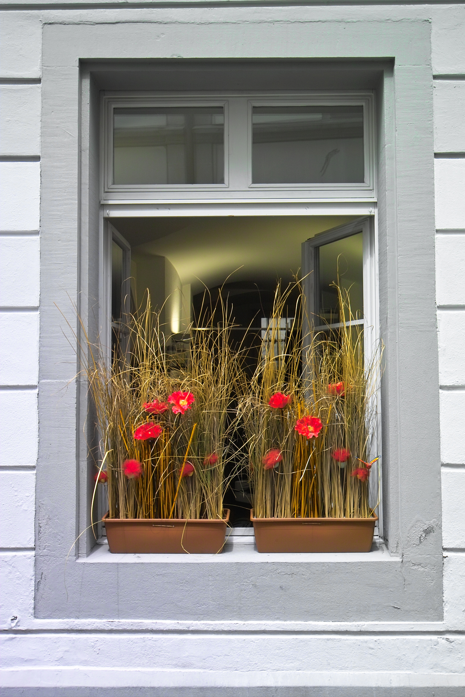 Appenzell Window