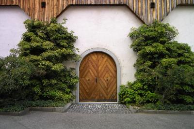 Ittingen Door