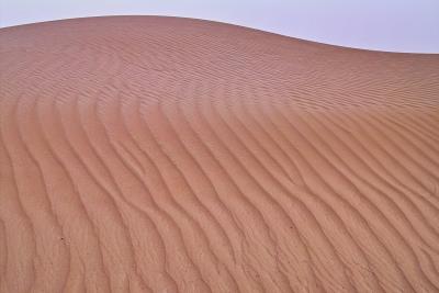 Pre-dawn dune